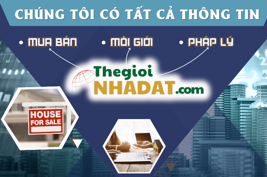 Các dịch vụ